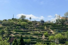 哈兰德的全能表现：曼市德比中的战术核心与情感共鸣